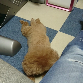 まったりの画像