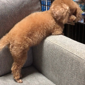 まだかなまだかなーの画像