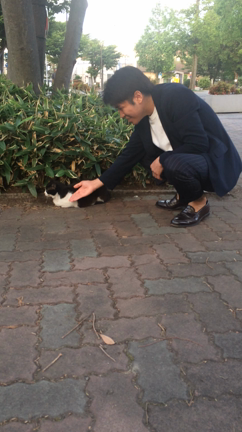 ねこのきもち くろだくん むーびー。の記事動画