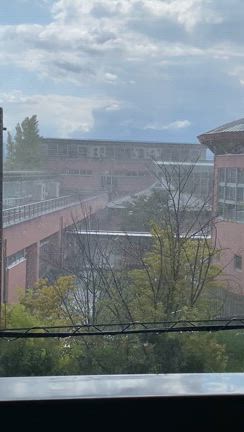 強いシャワーのような雨が辺りを潤し、暑さを鎮めてくれました。の記事動画