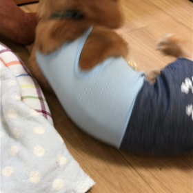 やっと身軽に…♪の画像