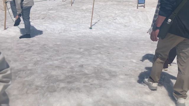 週の始まり月曜日！の記事動画