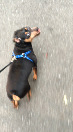 邪魔やぞの記事動画