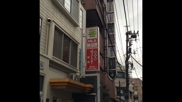 ホワイトの記事動画