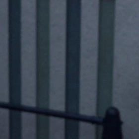 桜の花びらが舞う シャンシャンの画像