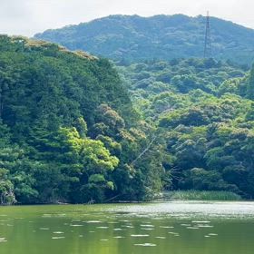 夏至前のデトックスの画像