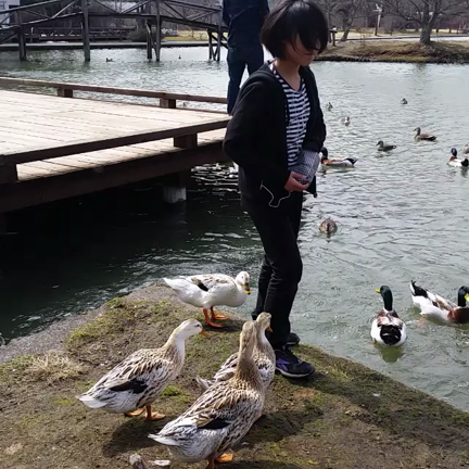 春休みの記事動画