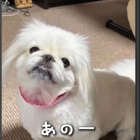 2025/07/27の画像