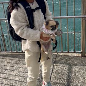 かわいい✨の画像