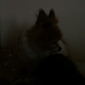 ありがとうねの画像