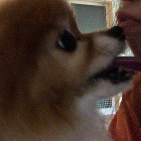 食べたよ〜の画像