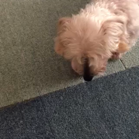 撮り直してみたの画像