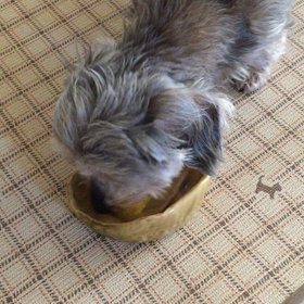 おいしぃ〜♡の画像