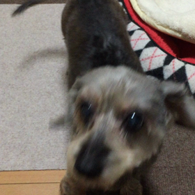 ジャーニーの画像