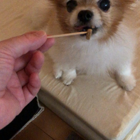 甘えん坊の画像
