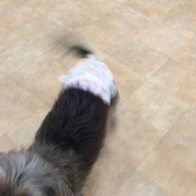 安心  安全の画像