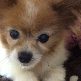 アップはおイヤ。。⁈の画像