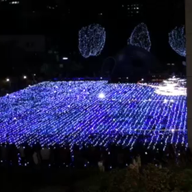 今年初の画像