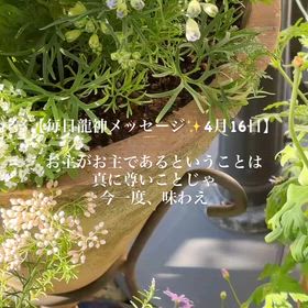 毎日龍神メッセージ✨4月16日の画像
