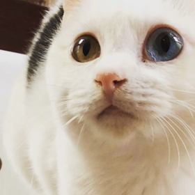 ひとりごとの画像