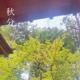 2024/09/23の画像