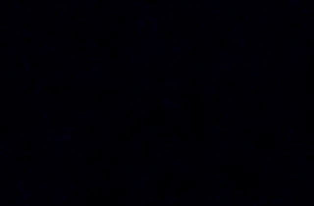 やめての記事動画