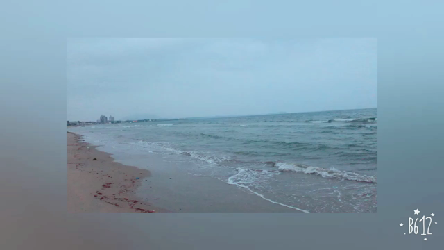 海はひろいーなの記事動画