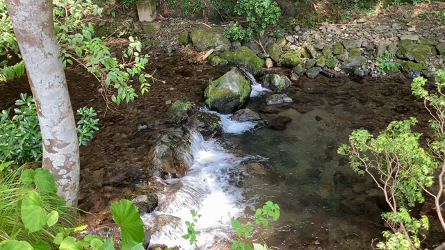 貴船神社　静岡．島根チャリティありがとうございました♡の記事動画