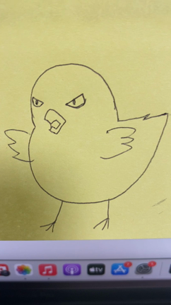 鳥フェスかの記事動画