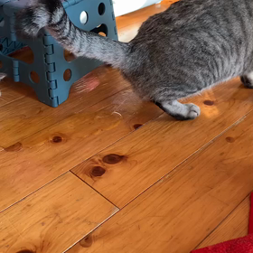 やれやれ‥の画像