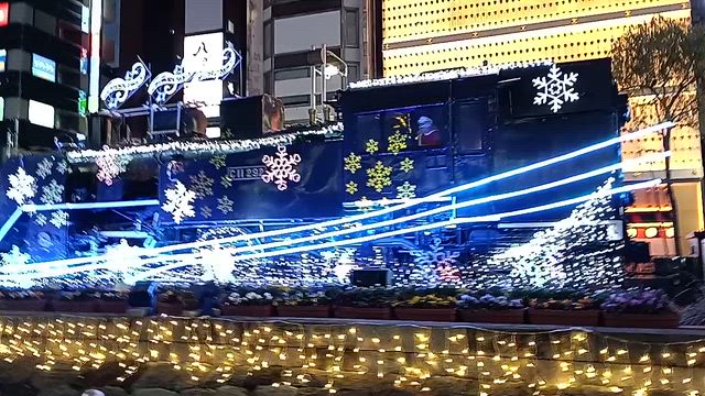 華のお江戸のイルミネーションの記事動画