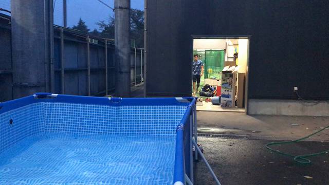 夏と言えば…の記事動画