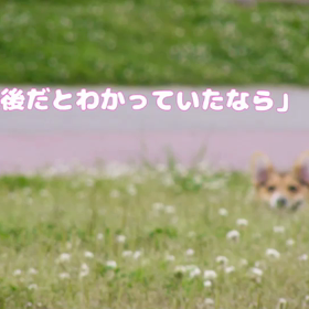 写真って、いいな♡の画像