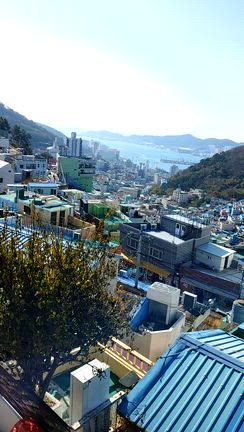 釜山２日目〜の記事動画