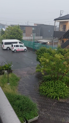 雨の記事動画