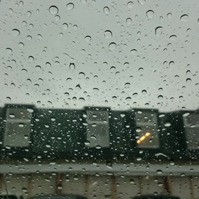 雨の一日。の画像