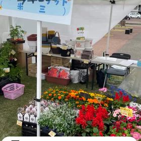 2026/05/17の画像