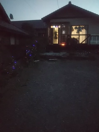 ハロウィン週の記事動画