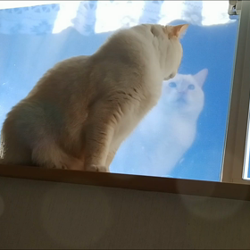 晴れ間はキモチイイねの画像