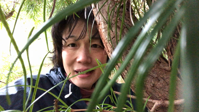 生まれ変わる！の記事動画