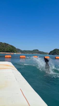 壱岐島の動画でリフレッシュ♡の記事動画
