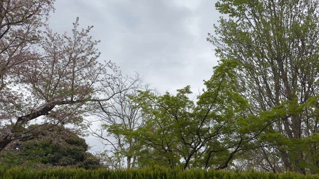 2026/4/10の記事動画