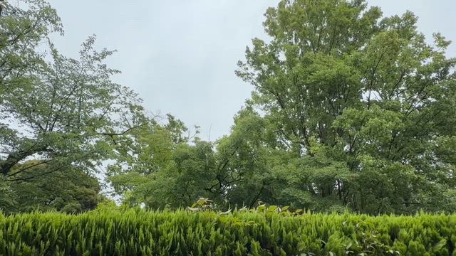 2026/6/3の記事動画
