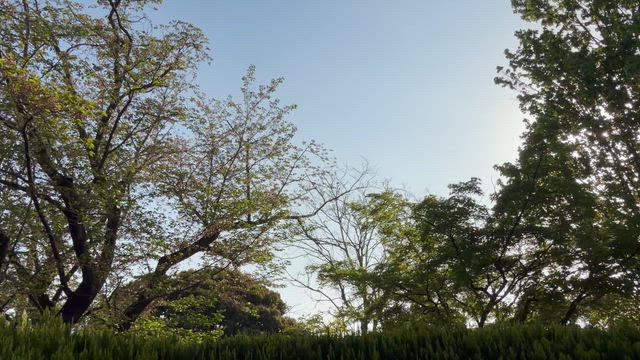 2026/4/14の記事動画