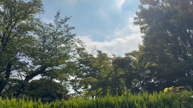 2026/6/19の記事動画