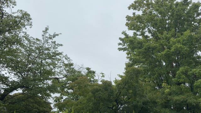 2026/6/28の記事動画