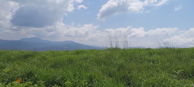 草原９時間。(富士山北麓：25/06/29)の記事動画