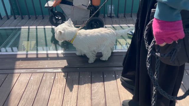 無事卒業の記事動画