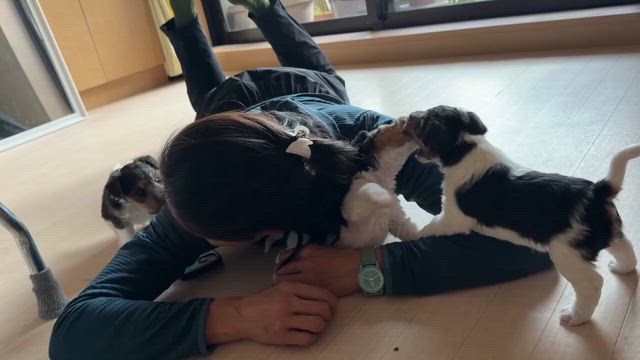 貴重な……時間の記事動画