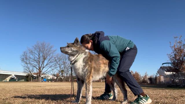 おら、力也だぞ！49の記事動画